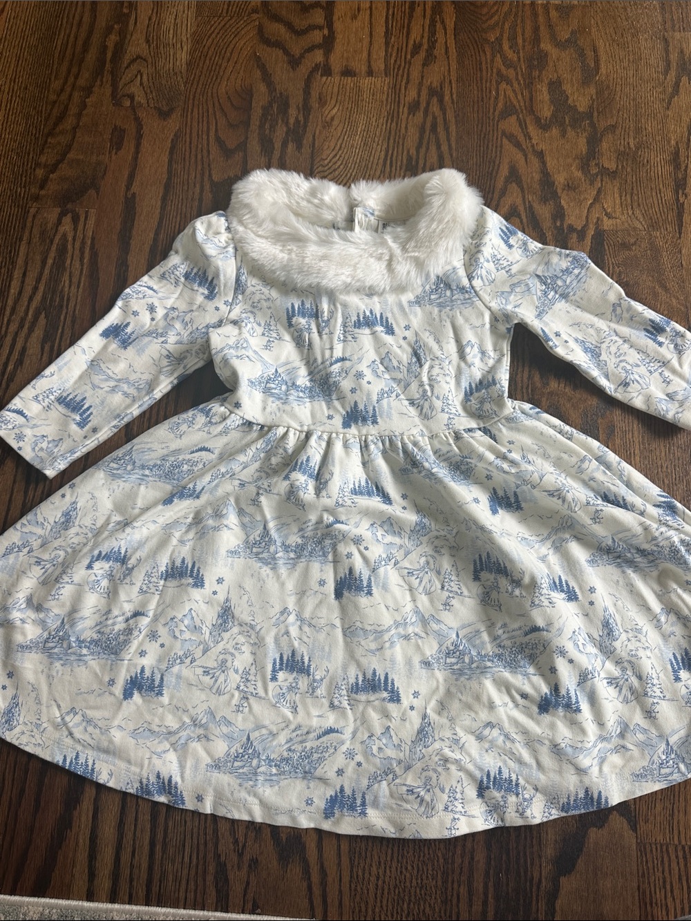 Janie and Jack x Disney Frozen Fur Collar Dress size 8